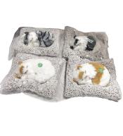 Kotek pluszowy na poduszce MIX