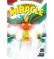 DC DELUXE Mister Miracle