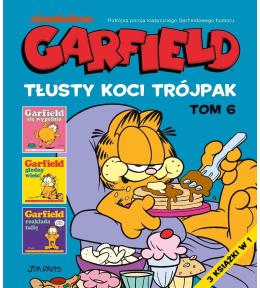Garfield T.6 Tłusty koci trójpak