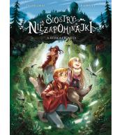 Siostry Niezapominajki T.4 Kozica i kometa