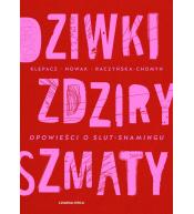 Dziwki, zdziry, szmaty. Opowieści o slut-shamingu