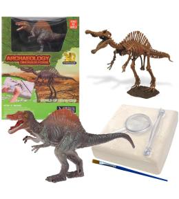 Wykopaliska paleontolog szkielet dinozaura