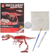 Wykopaliska paleontolog szkielet dinozaura