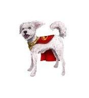 Superman Film: Interaktywny Krypto